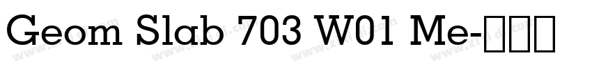 Geom Slab 703 W01 Me字体转换